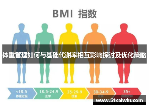 体重管理如何与基础代谢率相互影响探讨及优化策略