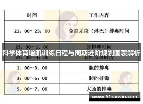 科学体育增肌训练日程与周期进阶规划图表解析
